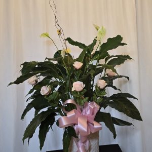 Peace Lily Tribute Plant