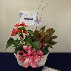 Anthurium Sympathy Arrangement
